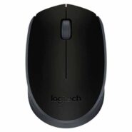 خرید ماوس بی‌ سیم لاجیتک Mouse Logitech M171  (14)