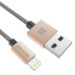 LinkMate-LTF_Gold-01_800x